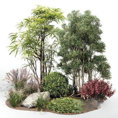 现代植物堆 景观树